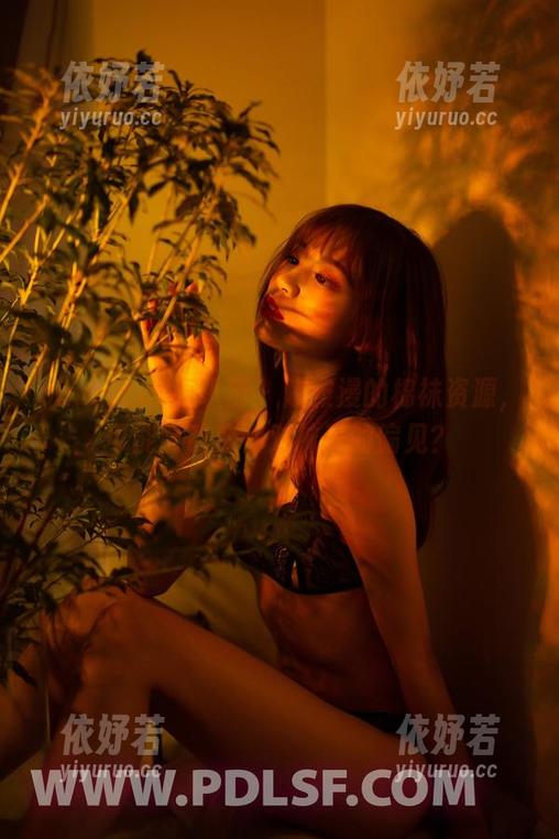 partycat轰趴猫-陈雅漫 partycat轰趴猫 - 陈雅漫的棉袜资源,可能会改变你对袜子的偏见?