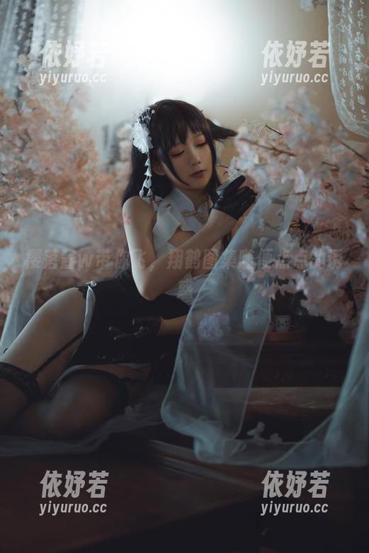 樱落酱w带你飞，翔鹤图集随便点点的诱惑